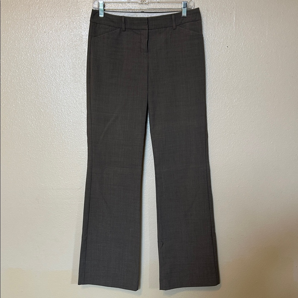 Express Brown Editor Pant